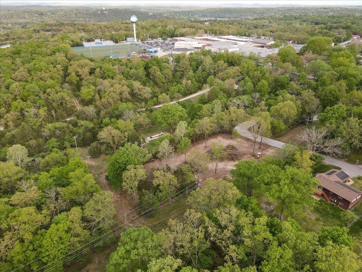 Photo 8 - Land for sale – 250  Vin Villa   Forsyth, MO