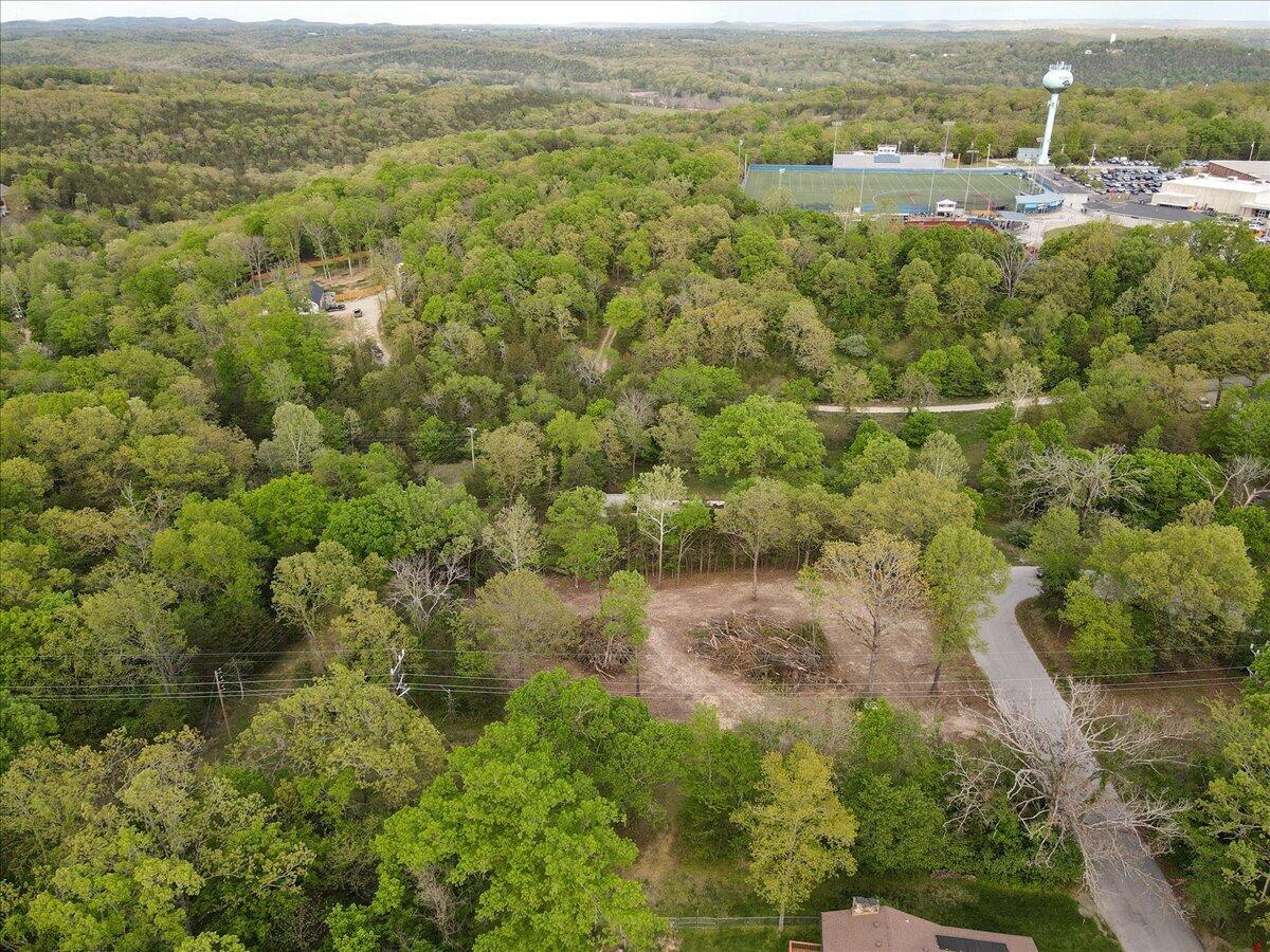 Photo 10 - Land for sale – 250  Vin Villa   Forsyth, MO