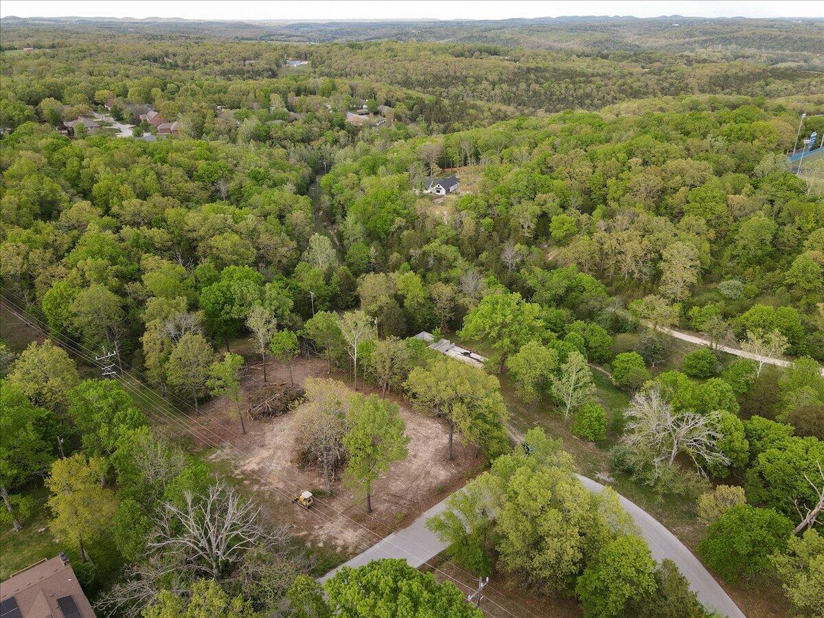 Photo 9 - Land for sale – 250  Vin Villa   Forsyth, MO