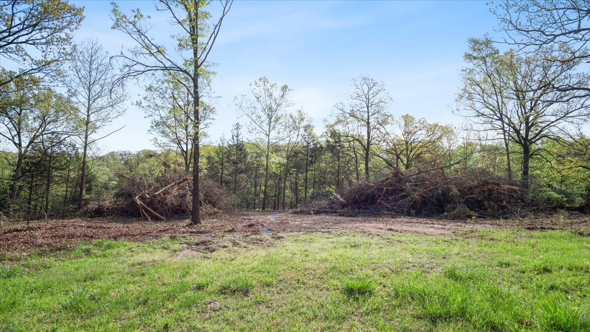 Photo 2 - Land for sale – 250  Vin Villa   Forsyth, MO