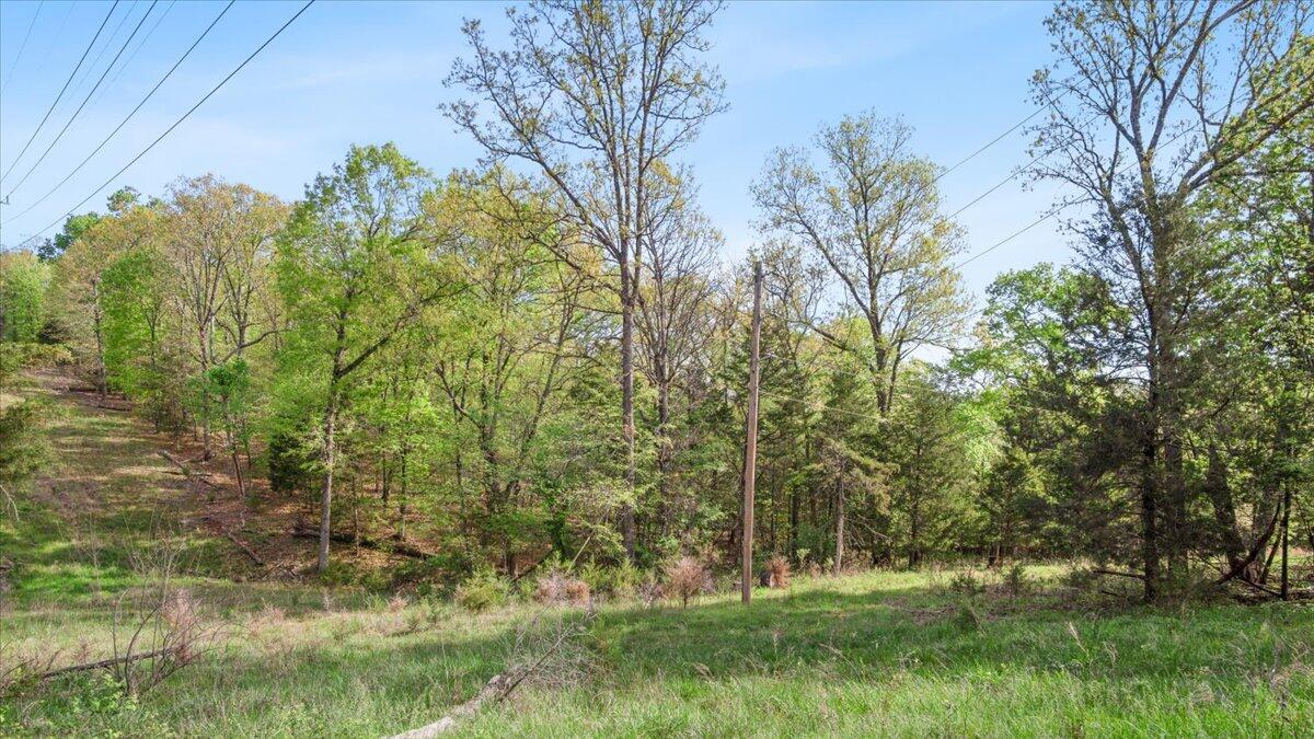 Photo 4 - Land for sale – 250  Vin Villa   Forsyth, MO