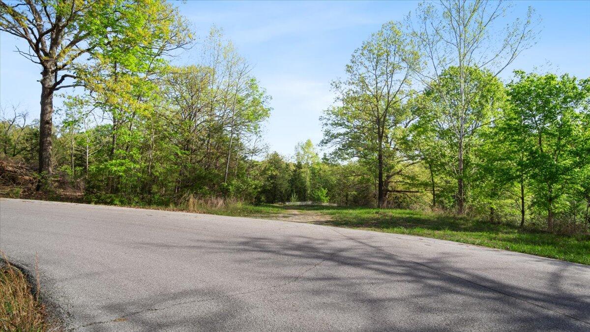 Photo 6 - Land for sale – 250  Vin Villa   Forsyth, MO