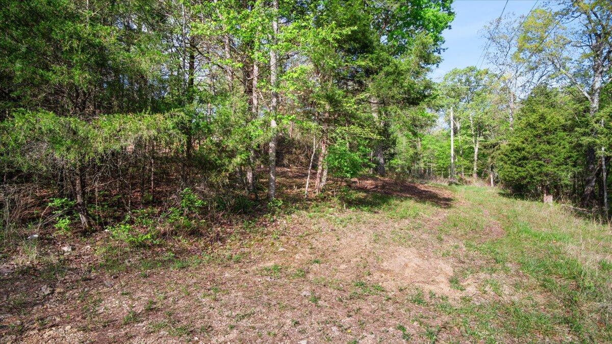 Photo 3 - Land for sale – 250  Vin Villa   Forsyth, MO