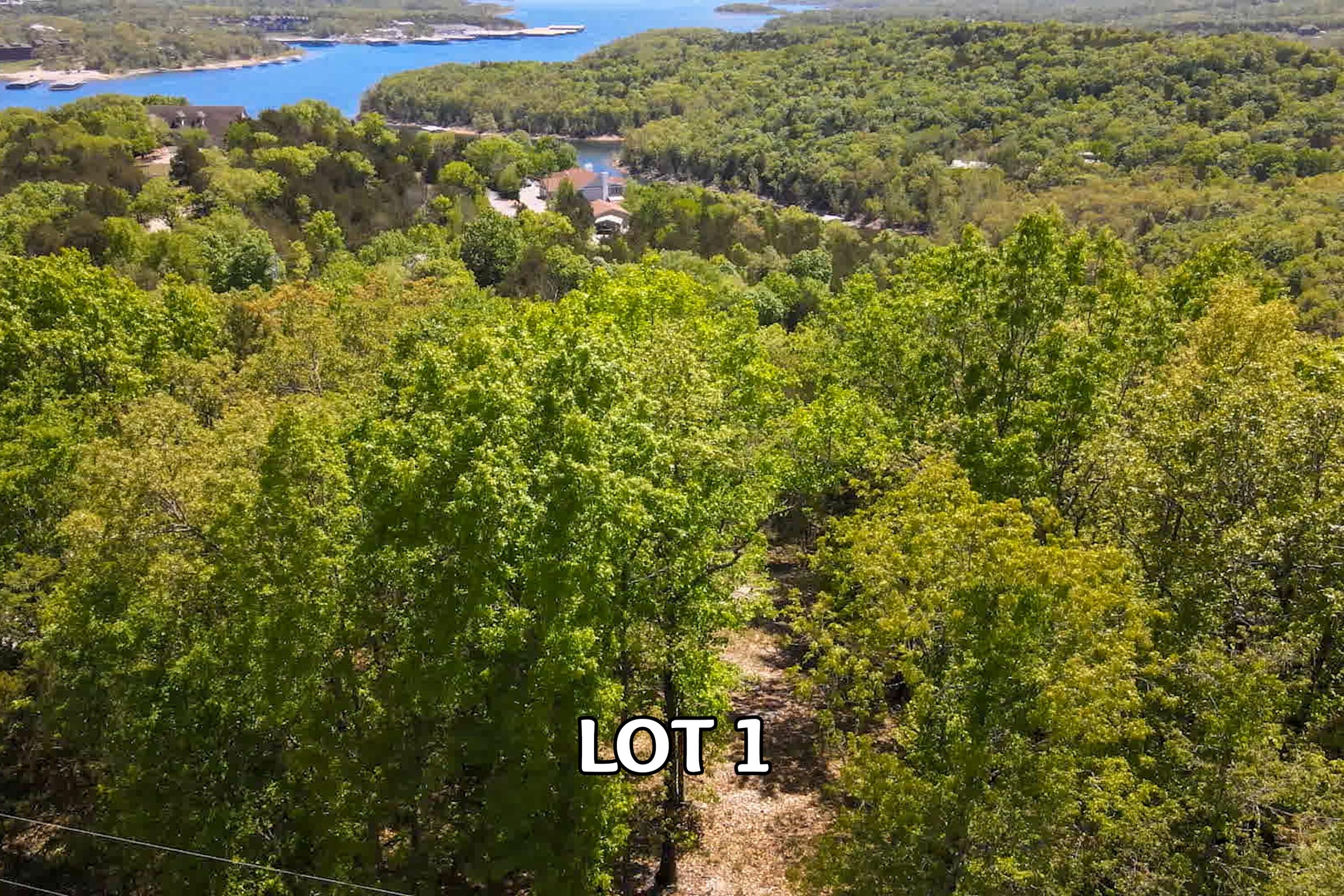 Photo 2 - Land for sale – Lot 1  Waterfield Drive  Branson West, MO