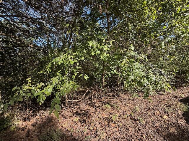 Photo 7 - Land for sale – 0  Circle Hill Drive  Blue Eye, MO