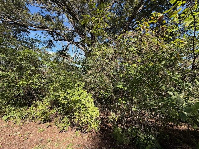 Photo 4 - Land for sale – 0  Circle Hill Drive  Blue Eye, MO