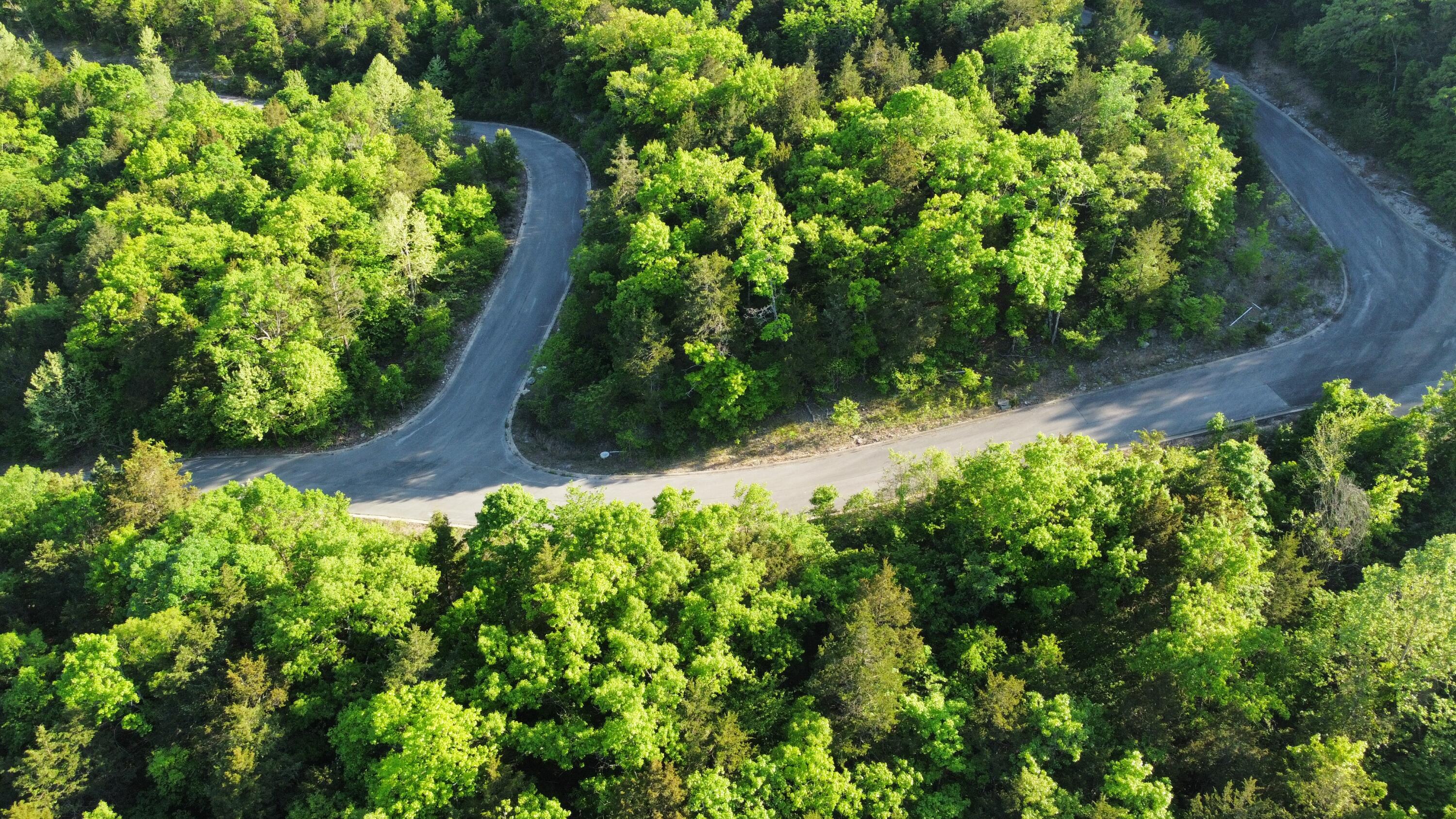 Photo 4 - Land for sale – 000  Syler Cir   Hollister, MO