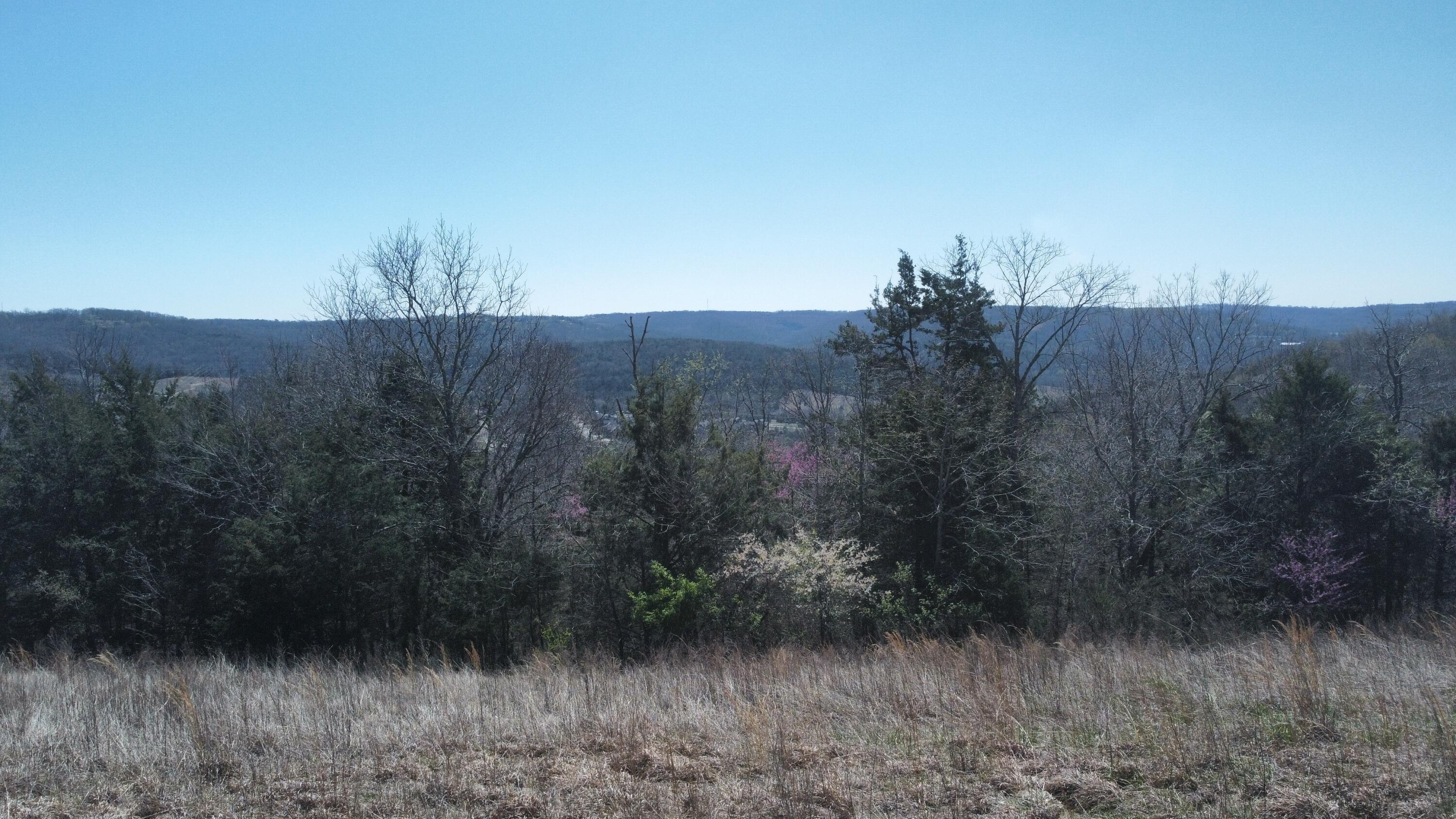 Photo 3 - Land for sale – 000  Emerald Point Drive Lot 327   Hollister, MO