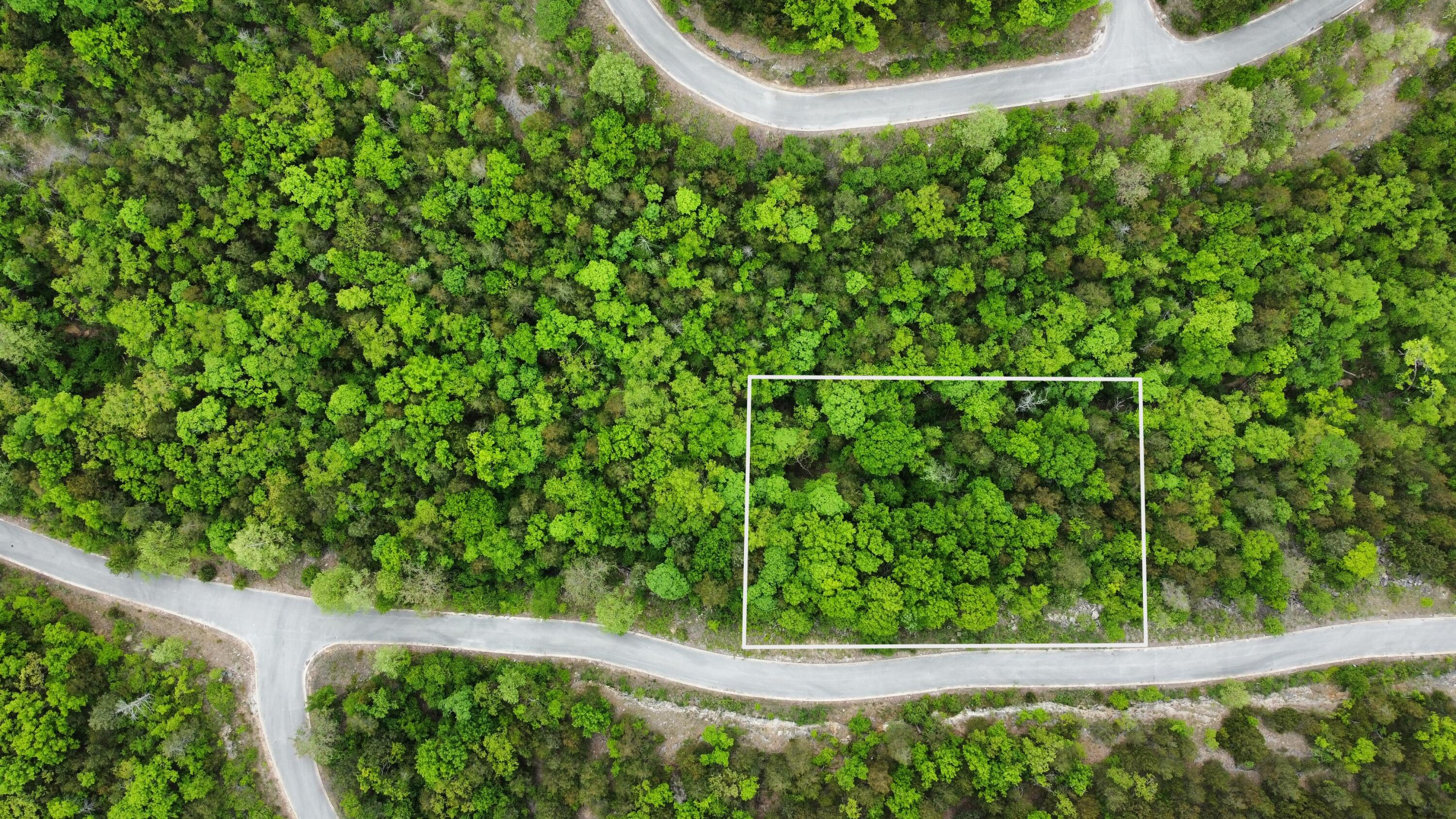 Photo 2 - Land for sale – 000  Syler Circle Lot 185 &186   Hollister, MO