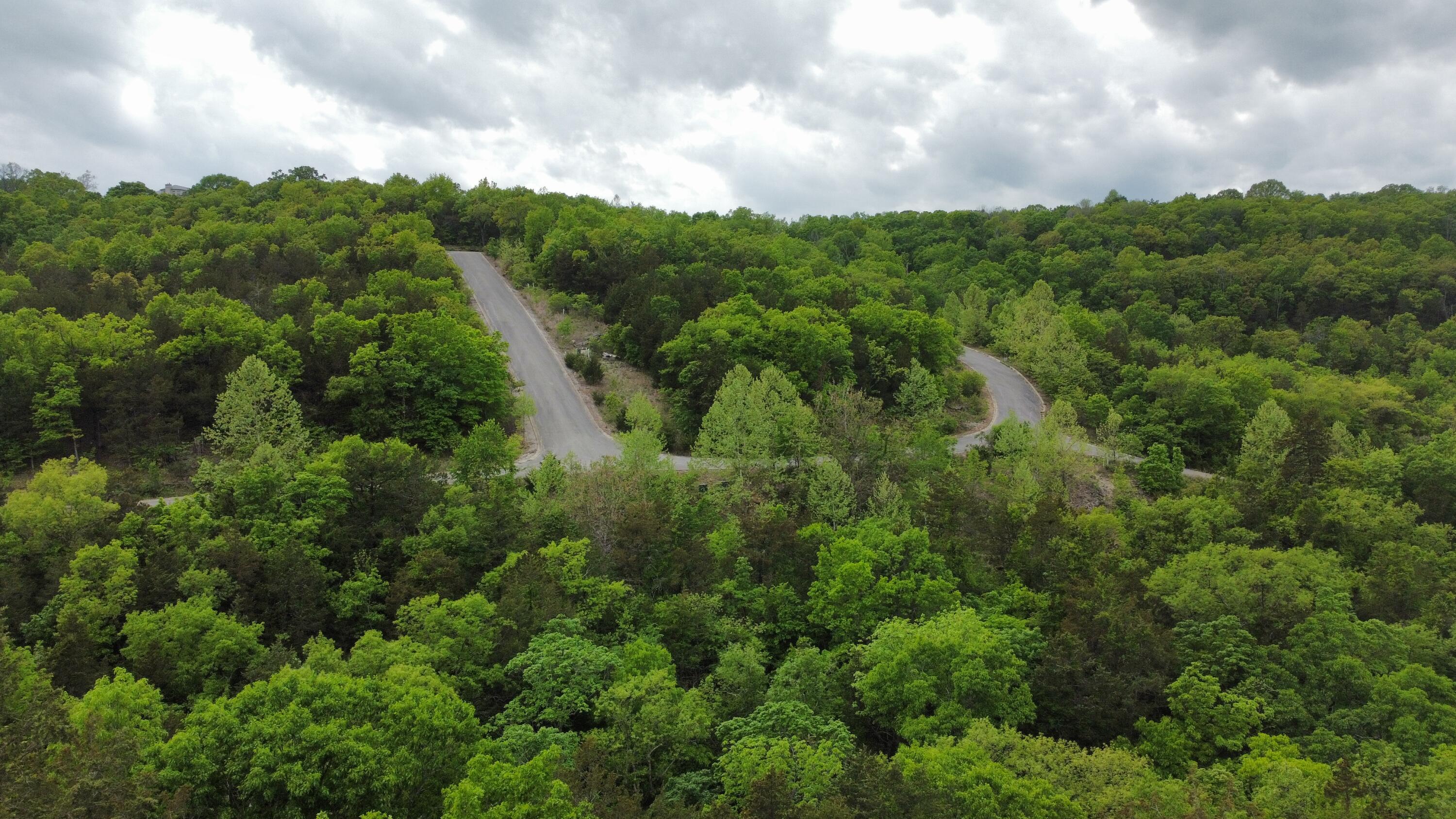 Photo 3 - Land for sale – 000  Syler Circle Lot 185 &186   Hollister, MO