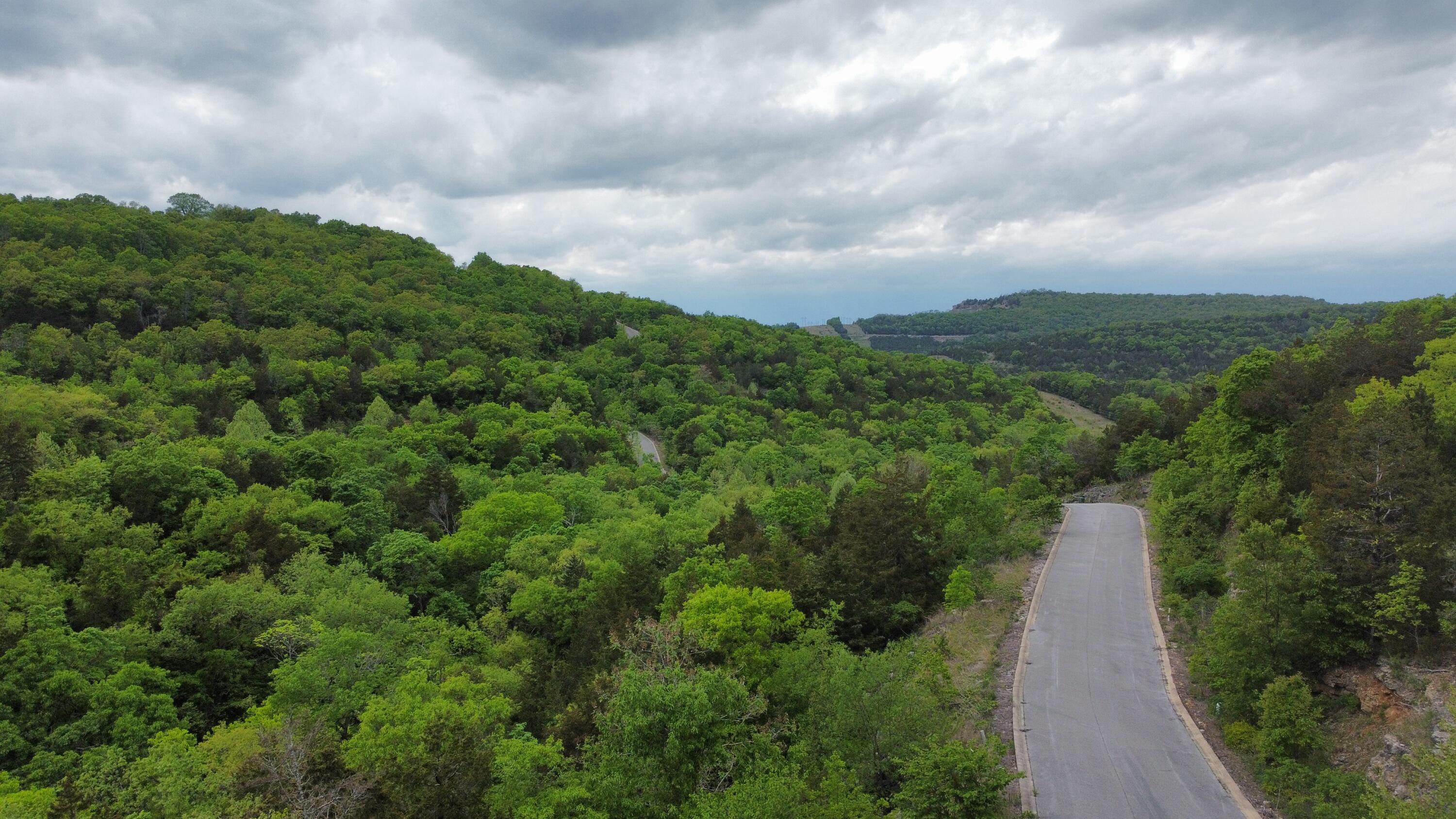 Photo 4 - Land for sale – 000  Syler Circle Lot 185 &186   Hollister, MO