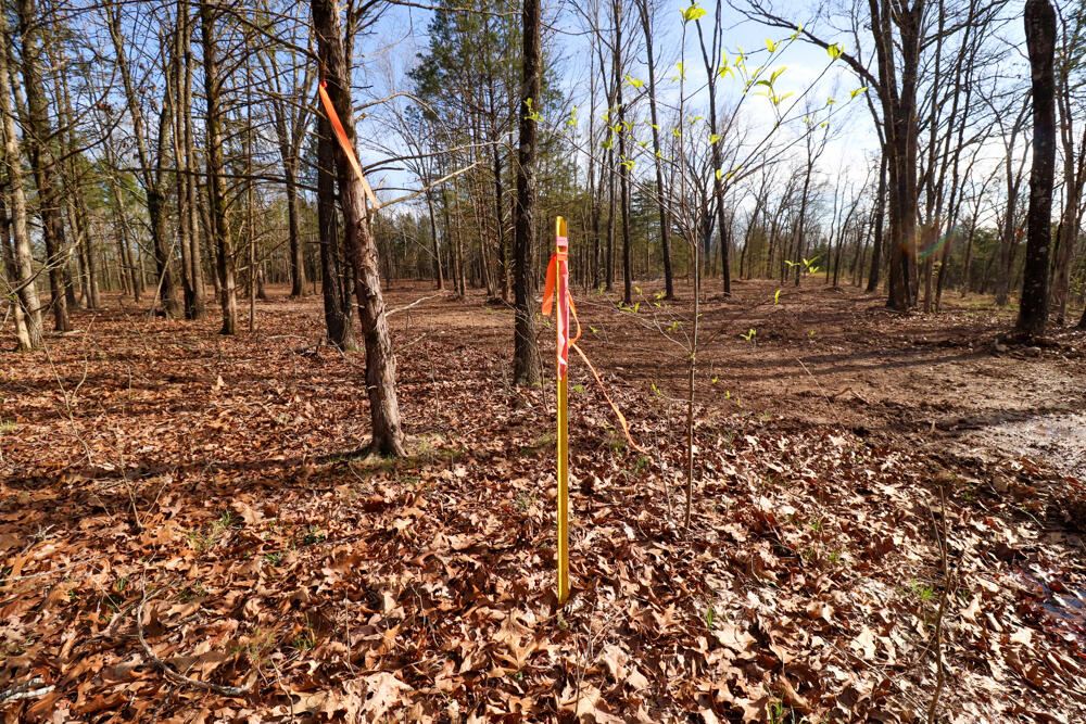 Photo 11 - Land for sale – 000  Barton   Cedarcreek, MO
