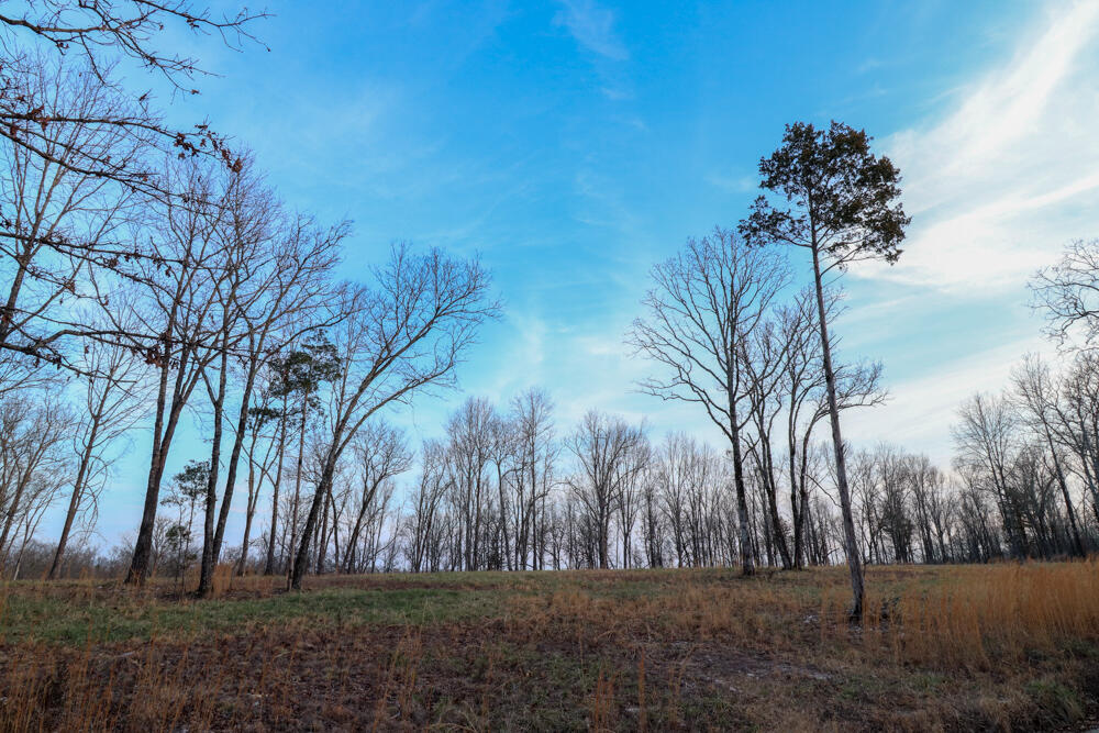 Photo 8 - Land for sale – 000  Barton   Cedarcreek, MO