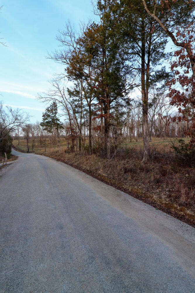 Photo 6 - Land for sale – 000  Barton   Cedarcreek, MO