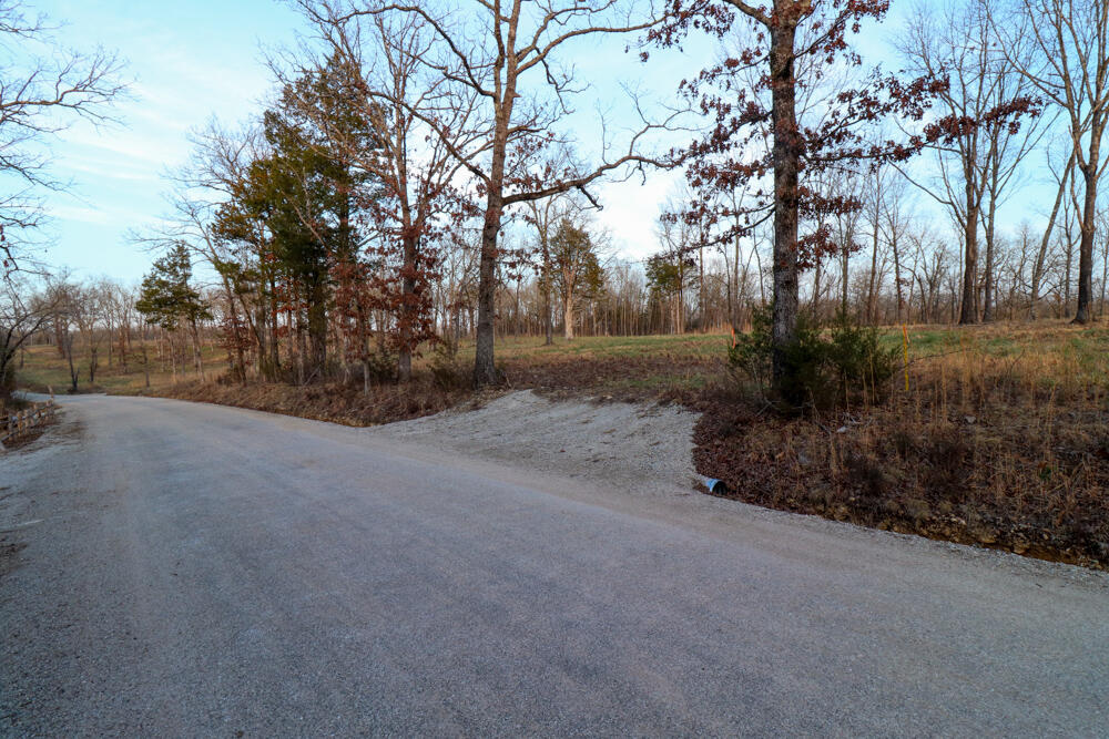 Photo 4 - Land for sale – 000  Barton   Cedarcreek, MO