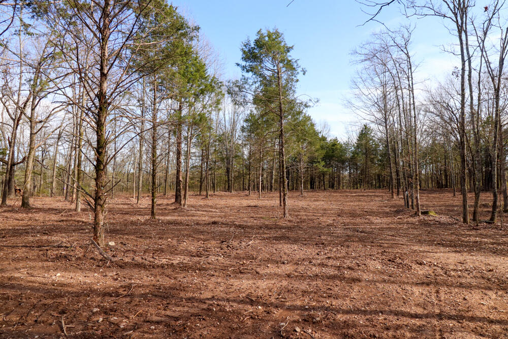 Photo 12 - Land for sale – 000  Barton   Cedarcreek, MO