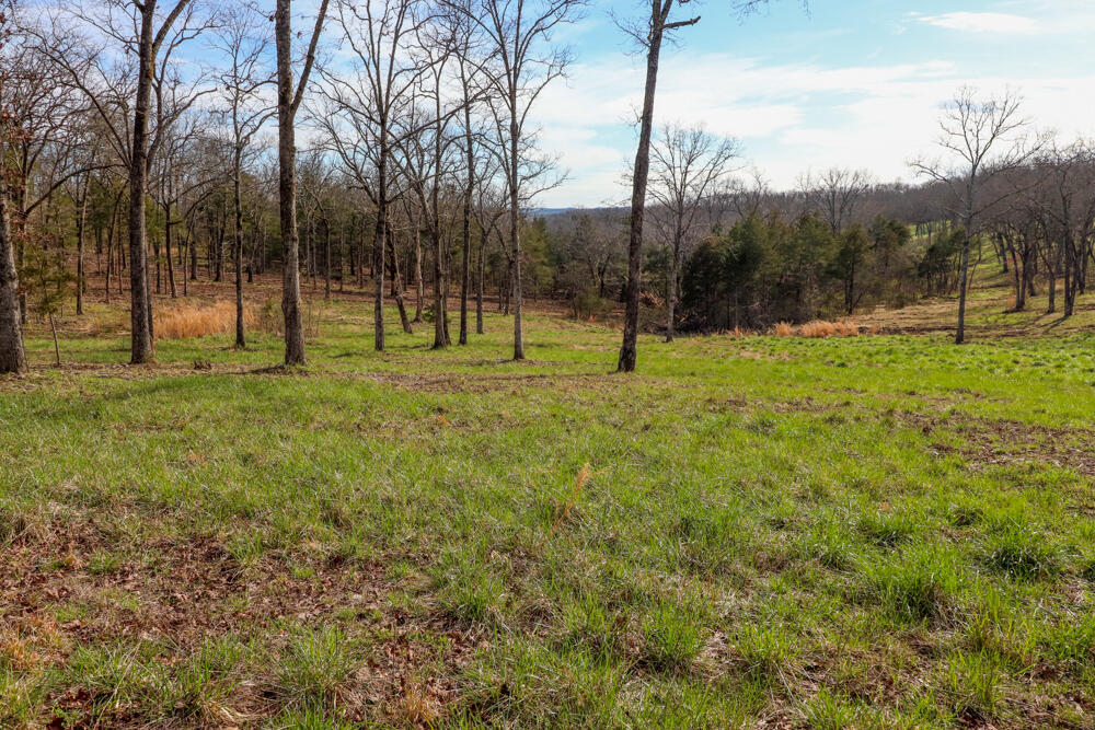 Photo 9 - Land for sale – 000  Barton   Cedarcreek, MO