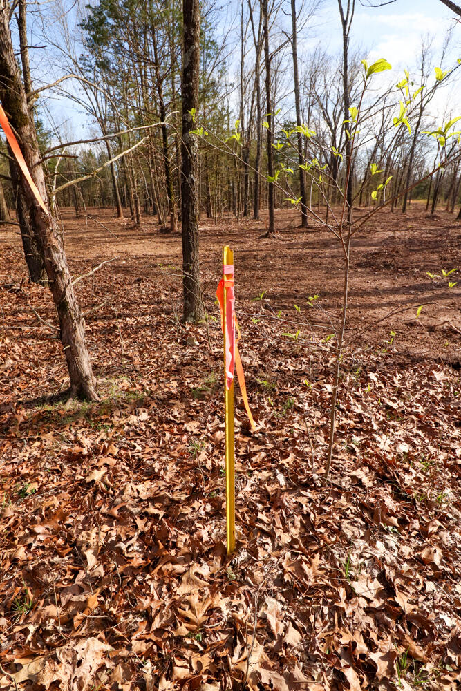 Photo 10 - Land for sale – 000  Barton   Cedarcreek, MO