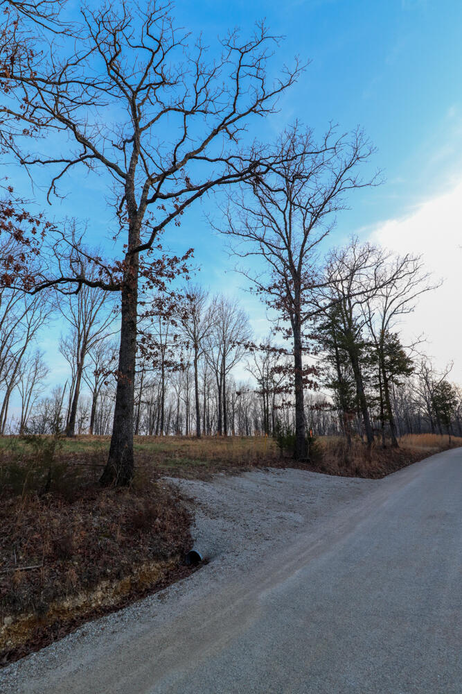Photo 5 - Land for sale – 000  Barton   Cedarcreek, MO