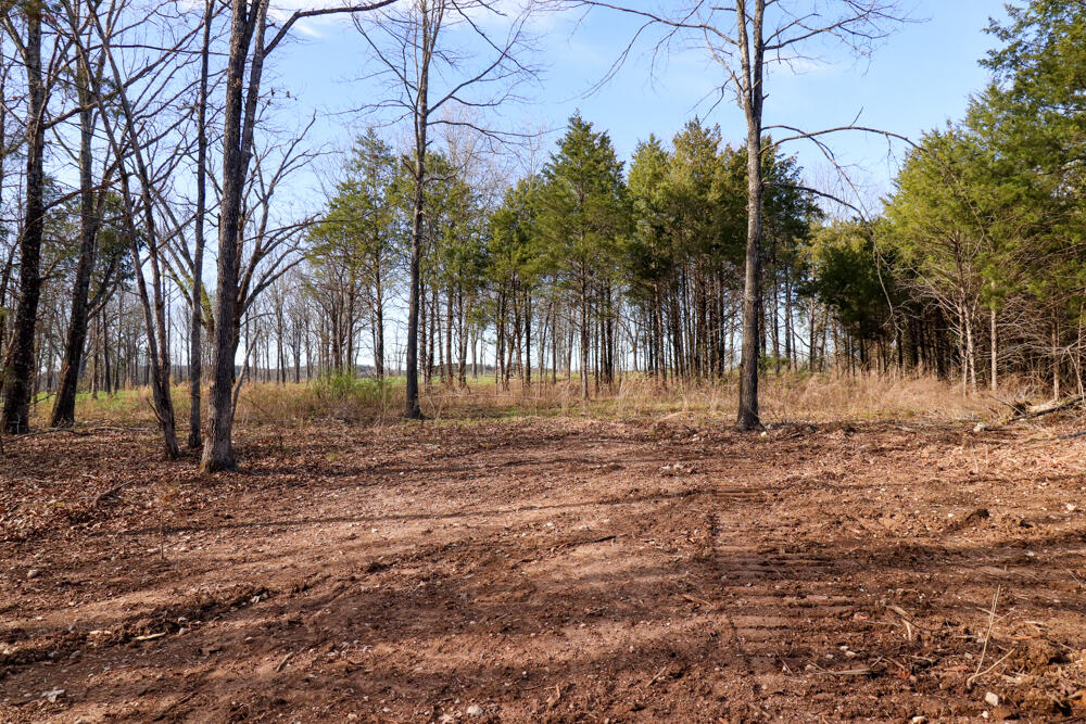 Photo 14 - Land for sale – 000  Barton   Cedarcreek, MO