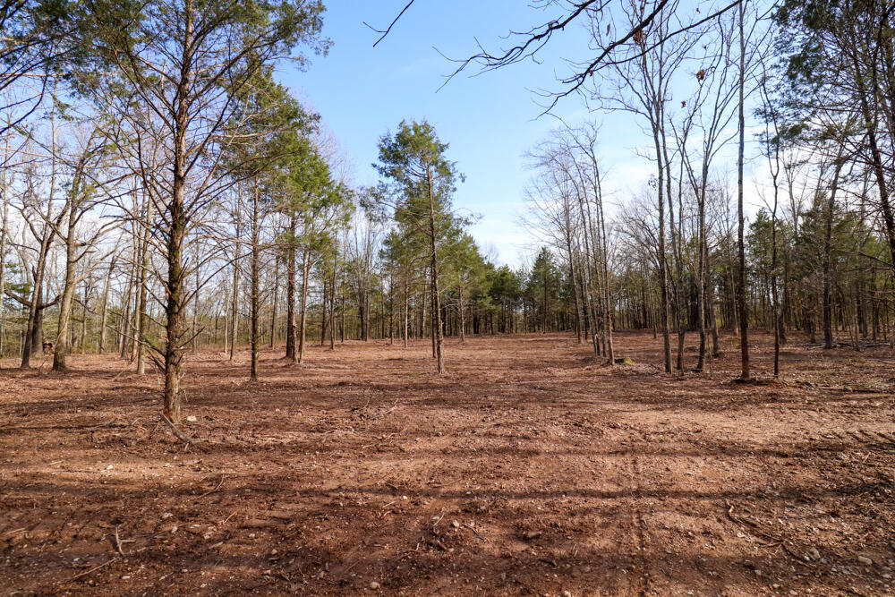 Photo 13 - Land for sale – 000  Barton   Cedarcreek, MO