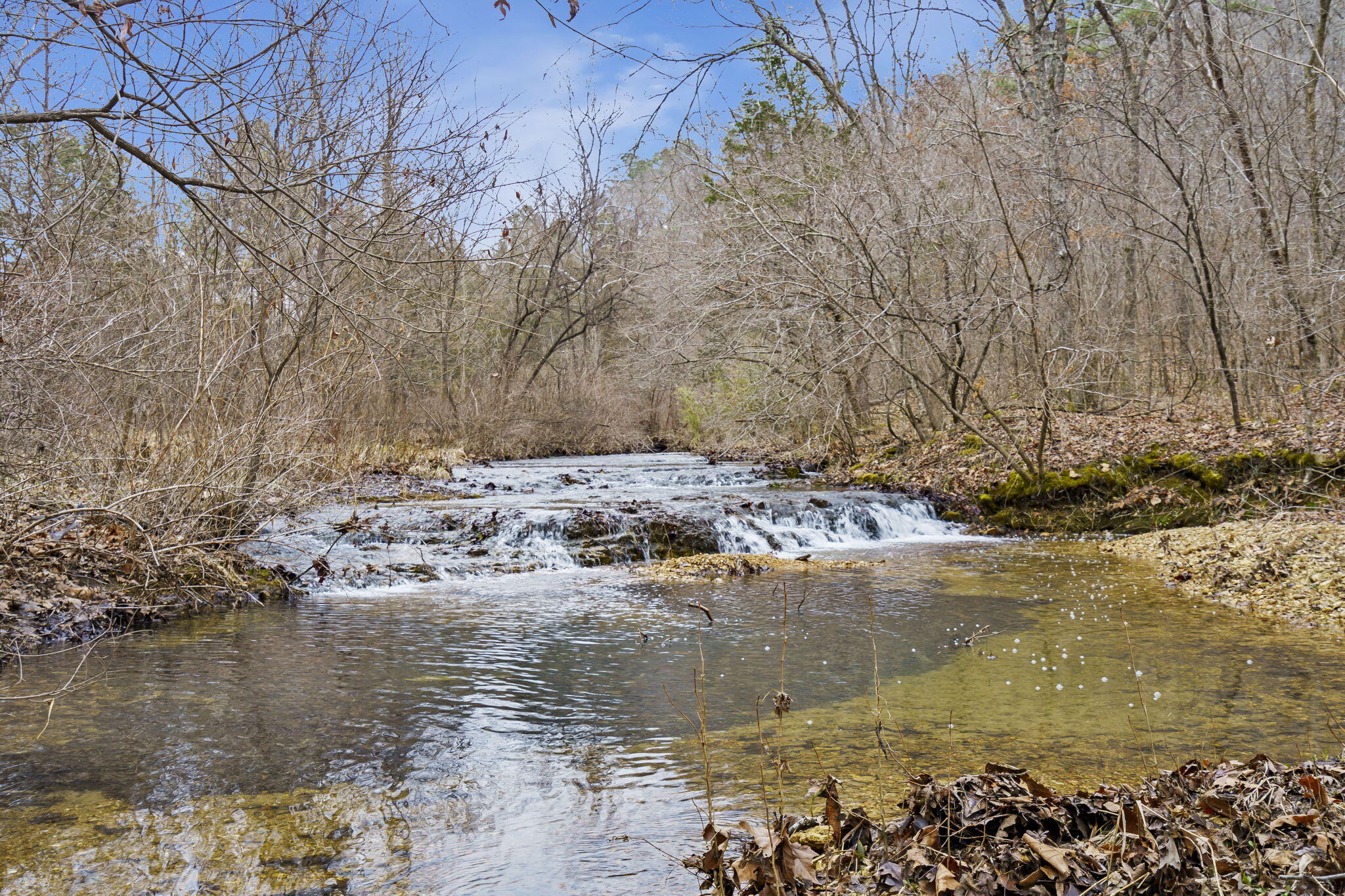 Photo 39 - Land for sale – 7064  County Road 14-223   Ava, MO