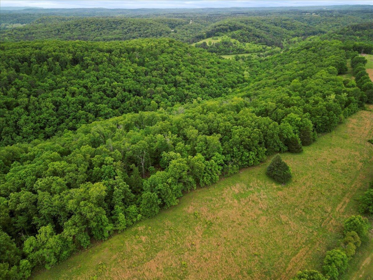 Photo 9 - Land for sale – 7064  County Road 14-223   Ava, MO