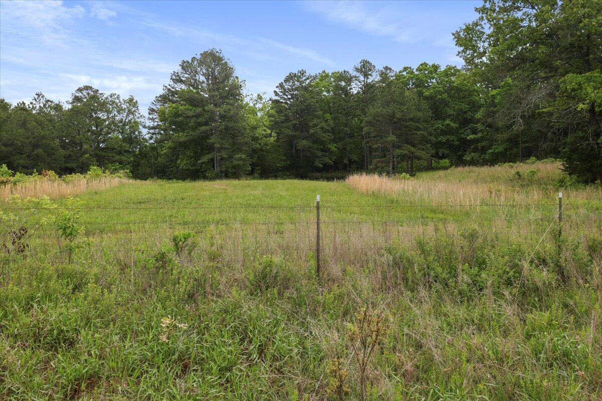 Photo 35 - Land for sale – 7064  County Road 14-223   Ava, MO