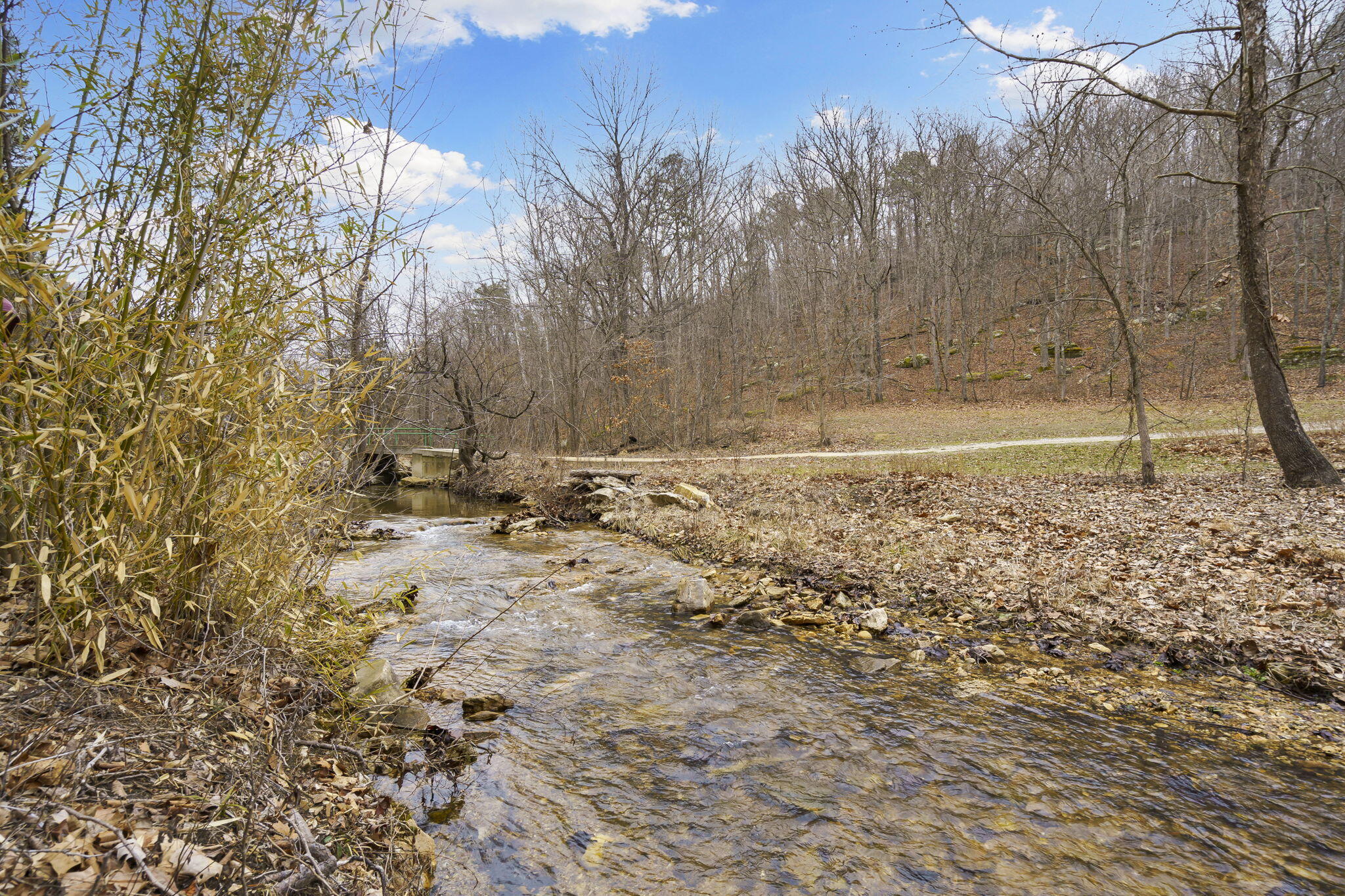 Photo 65 - Land for sale – 7064  County Road 14-223   Ava, MO