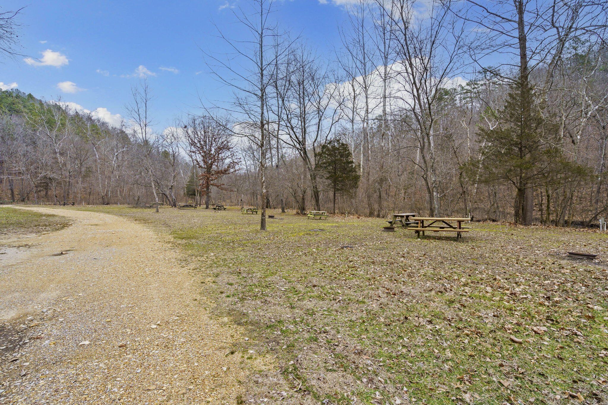 Photo 70 - Land for sale – 7064  County Road 14-223   Ava, MO