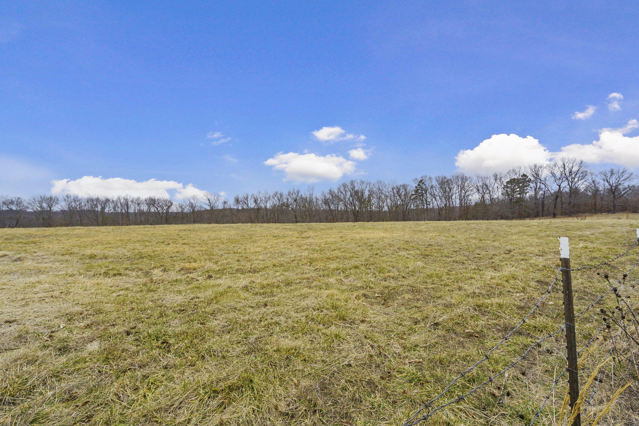 Photo 47 - Land for sale – 7064  County Road 14-223   Ava, MO