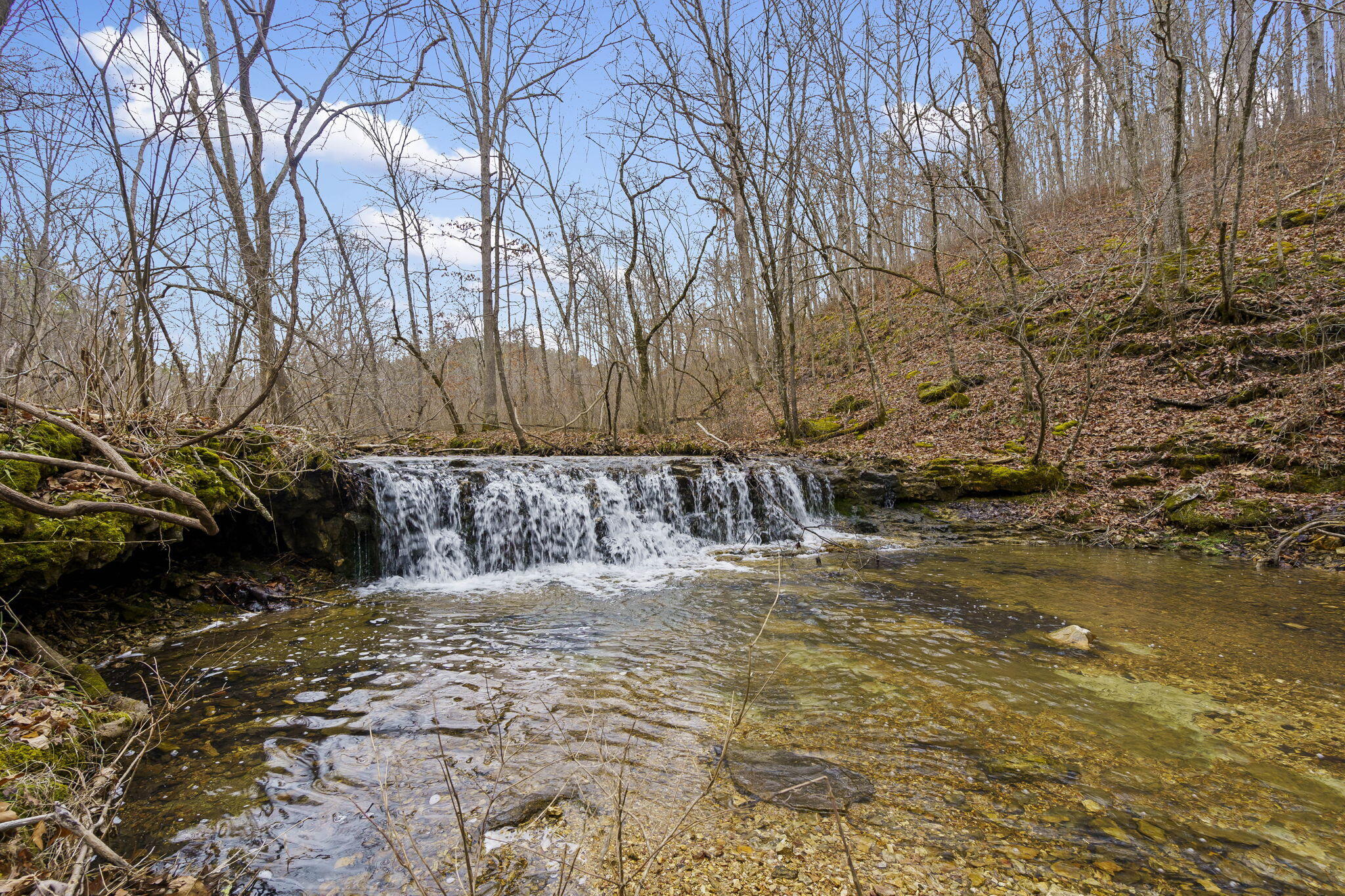 Photo 14 - Land for sale – 7064  County Road 14-223   Ava, MO