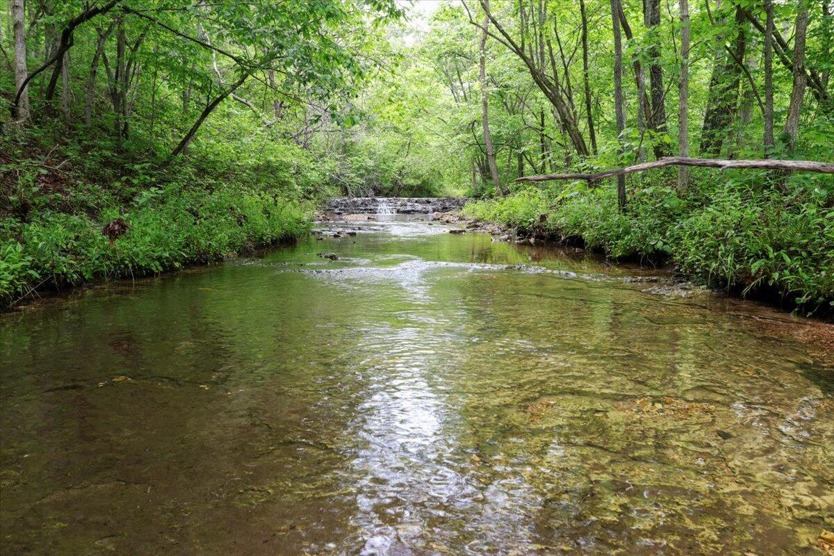Photo 7 - Land for sale – 7064  County Road 14-223   Ava, MO