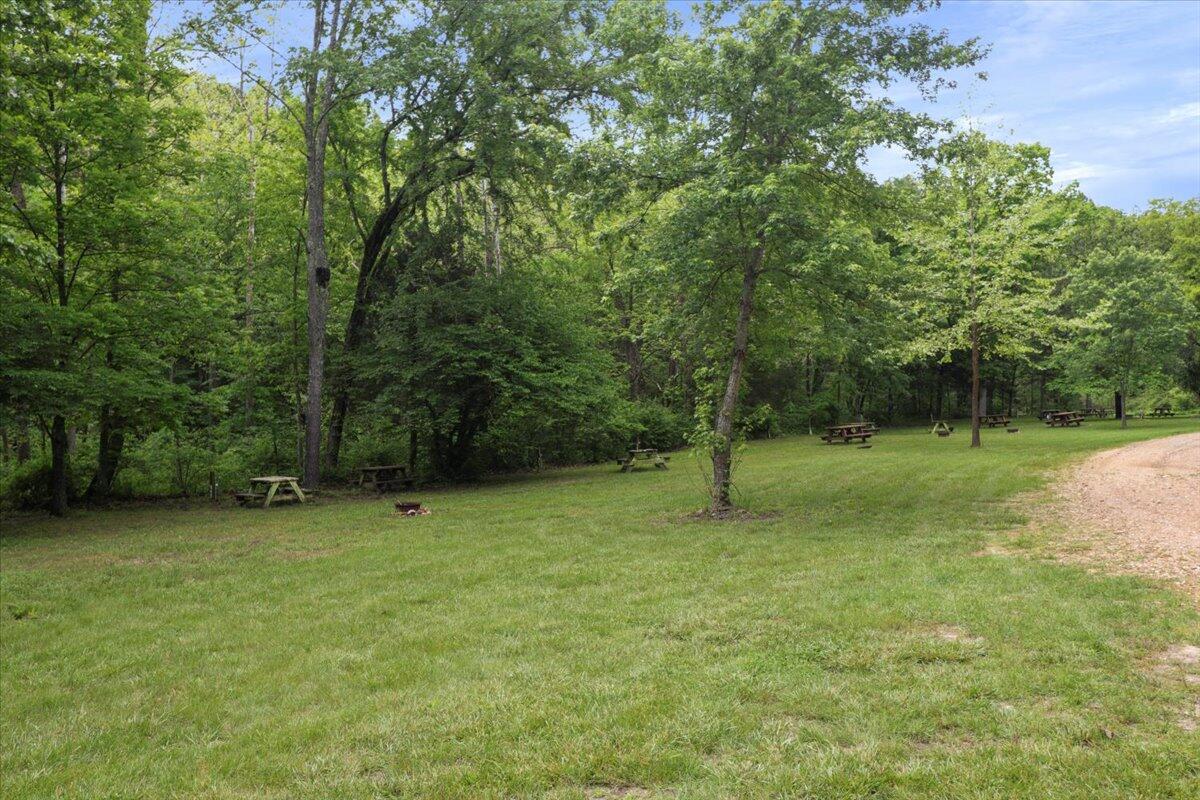 Photo 23 - Land for sale – 7064  County Road 14-223   Ava, MO