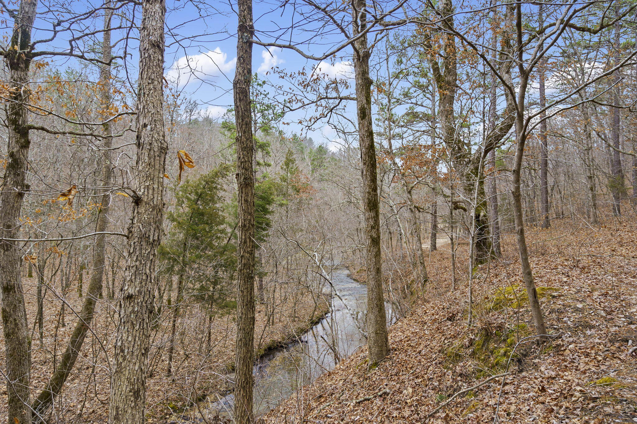 Photo 41 - Land for sale – 7064  County Road 14-223   Ava, MO