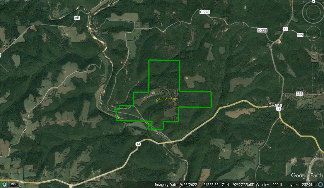 Photo 2 - Land for sale – 7064  County Road 14-223   Ava, MO