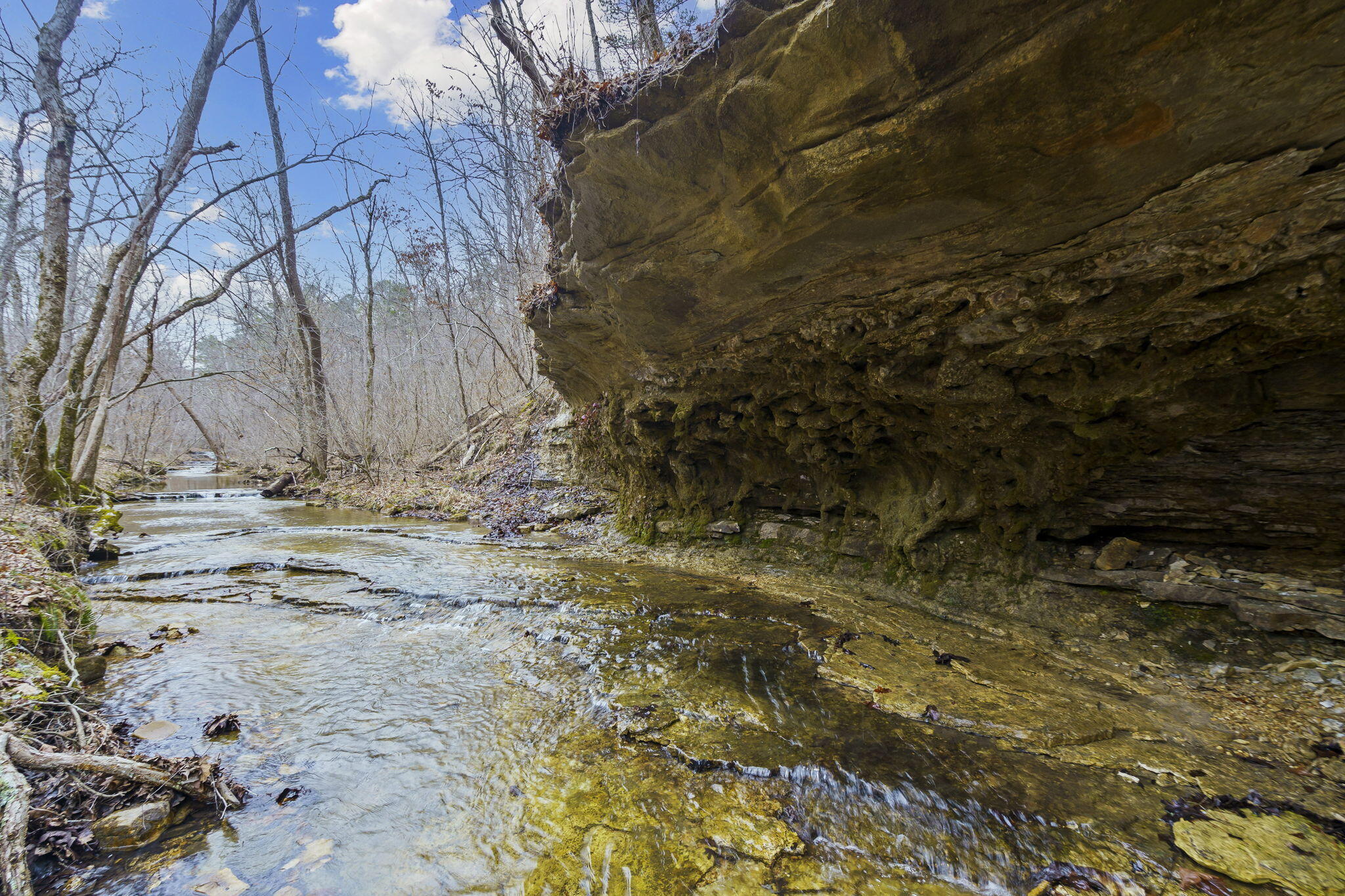 Photo 34 - Land for sale – 7064  County Road 14-223   Ava, MO