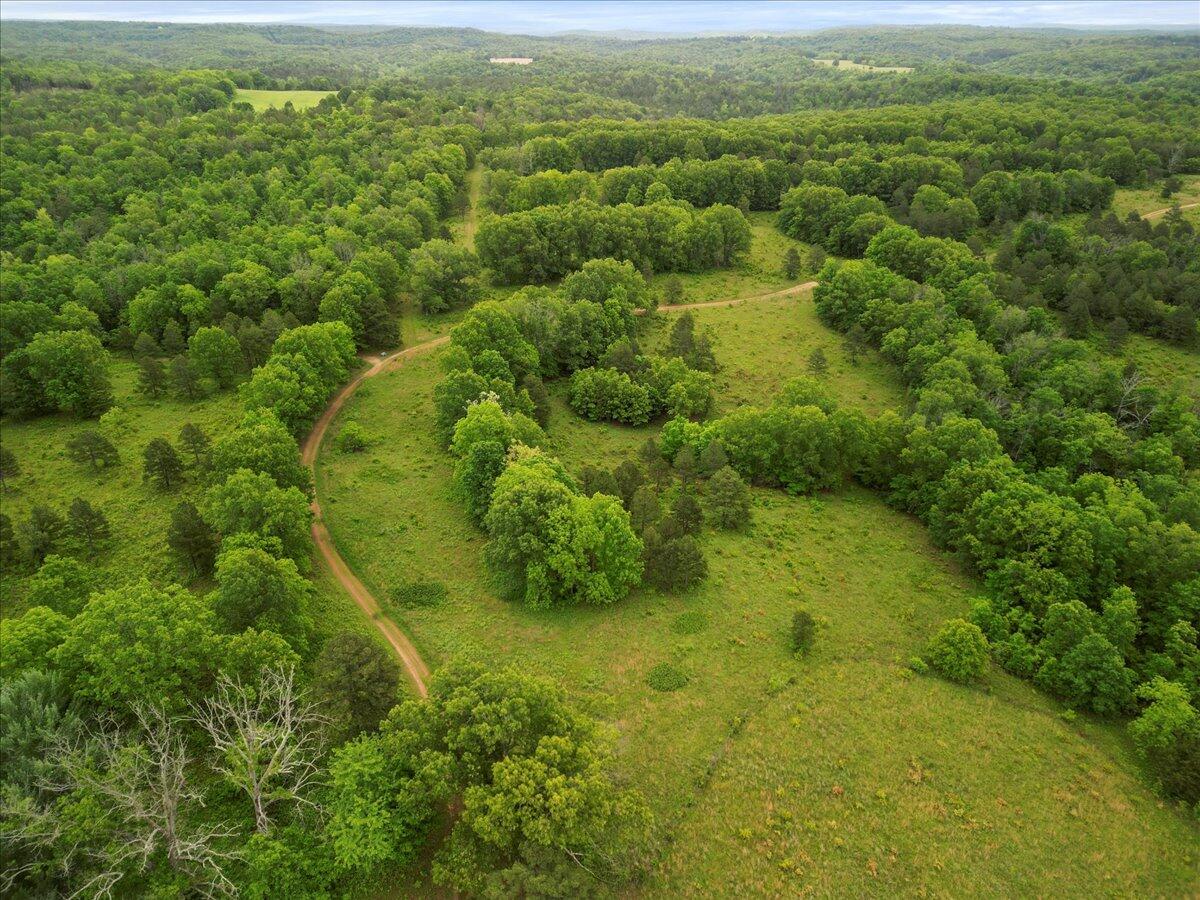 Photo 26 - Land for sale – 7064  County Road 14-223   Ava, MO