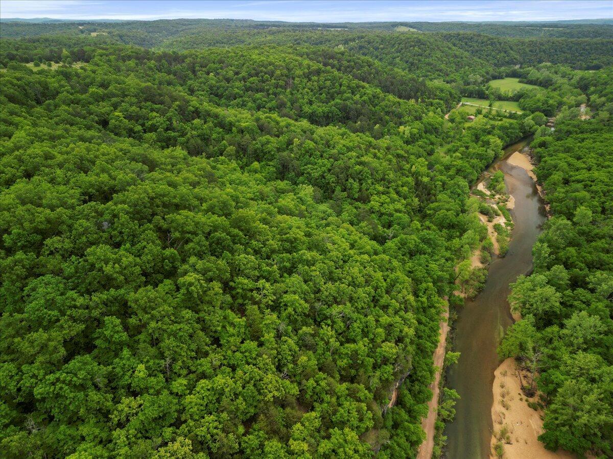 Photo 4 - Land for sale – 7064  County Road 14-223   Ava, MO