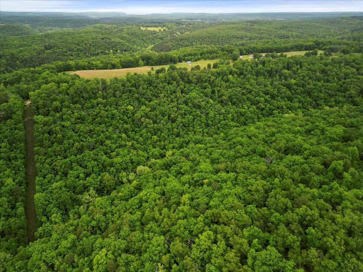 Photo 32 - Land for sale – 7064  County Road 14-223   Ava, MO