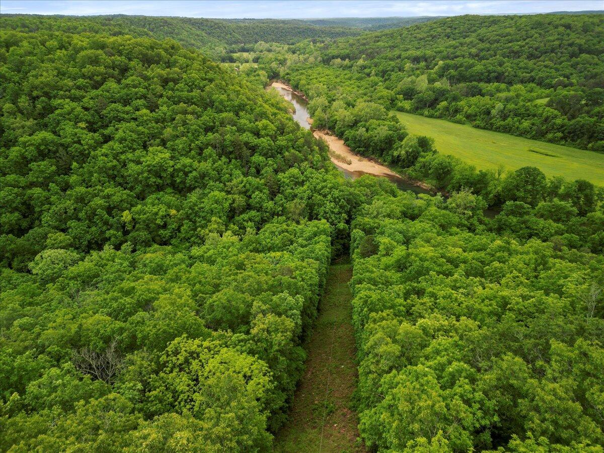 Photo 21 - Land for sale – 7064  County Road 14-223   Ava, MO