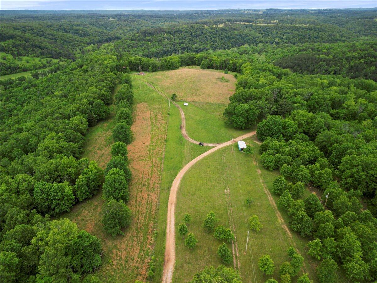 Photo 11 - Land for sale – 7064  County Road 14-223   Ava, MO