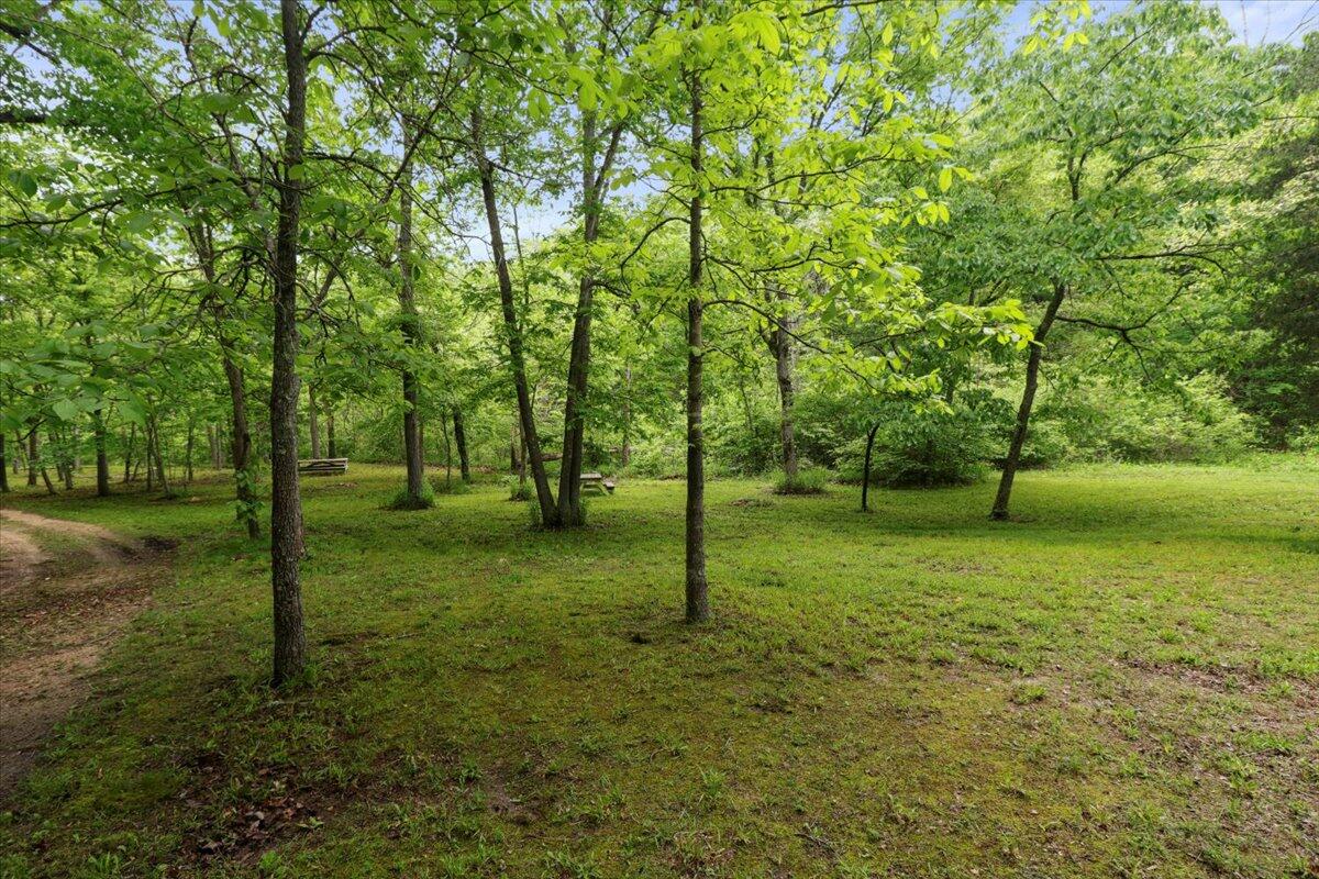 Photo 8 - Land for sale – 7064  County Road 14-223   Ava, MO