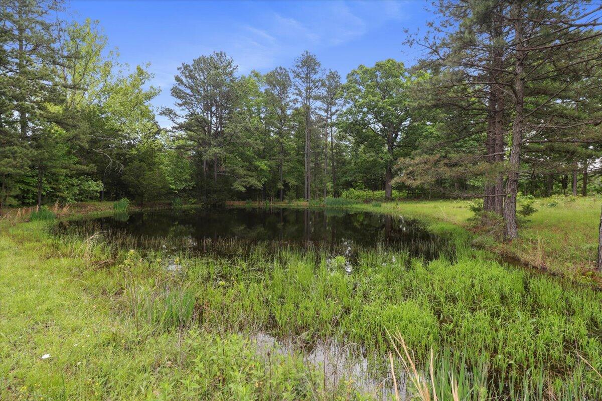 Photo 71 - Land for sale – 7064  County Road 14-223   Ava, MO