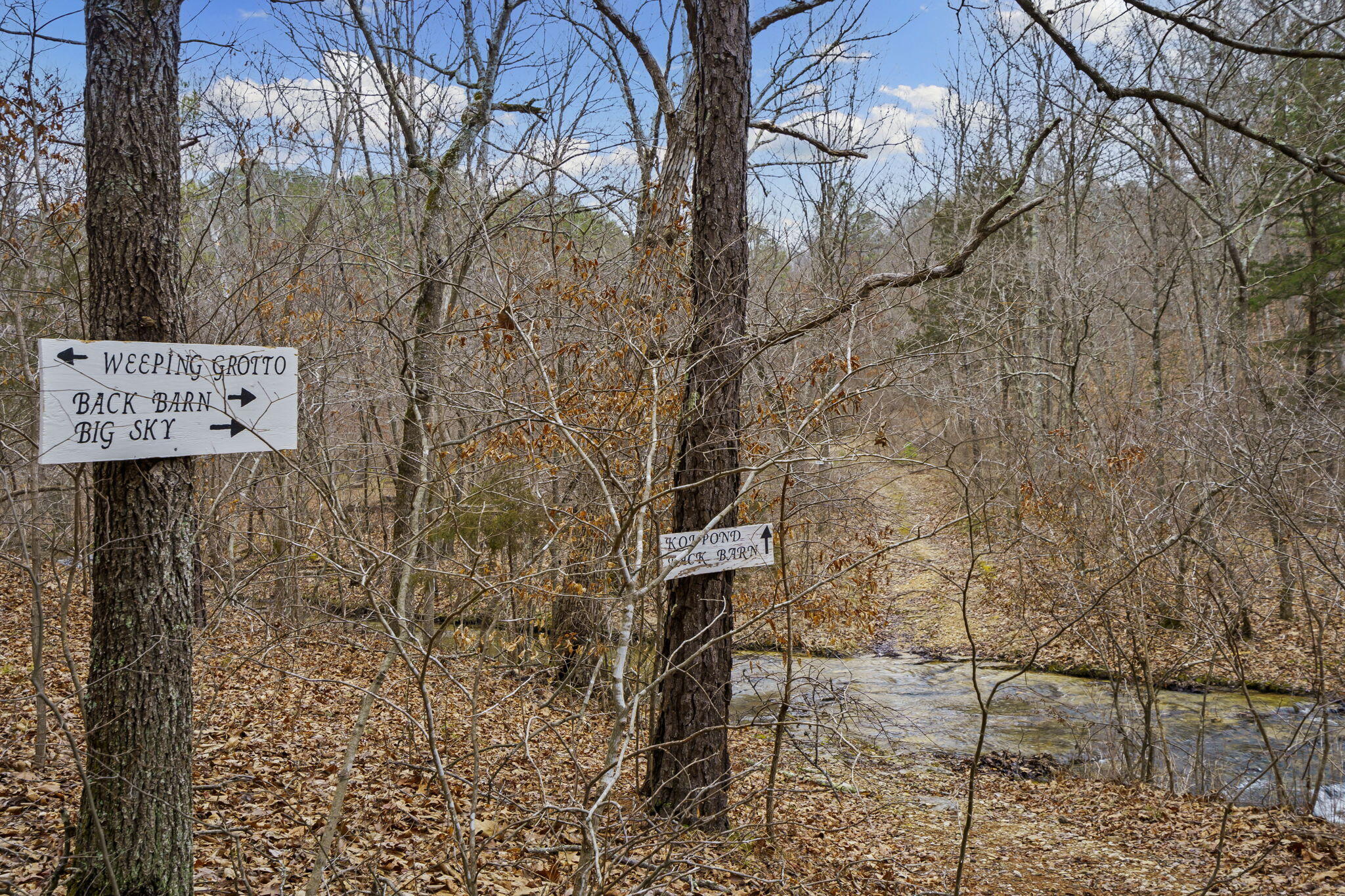 Photo 49 - Land for sale – 7064  County Road 14-223   Ava, MO