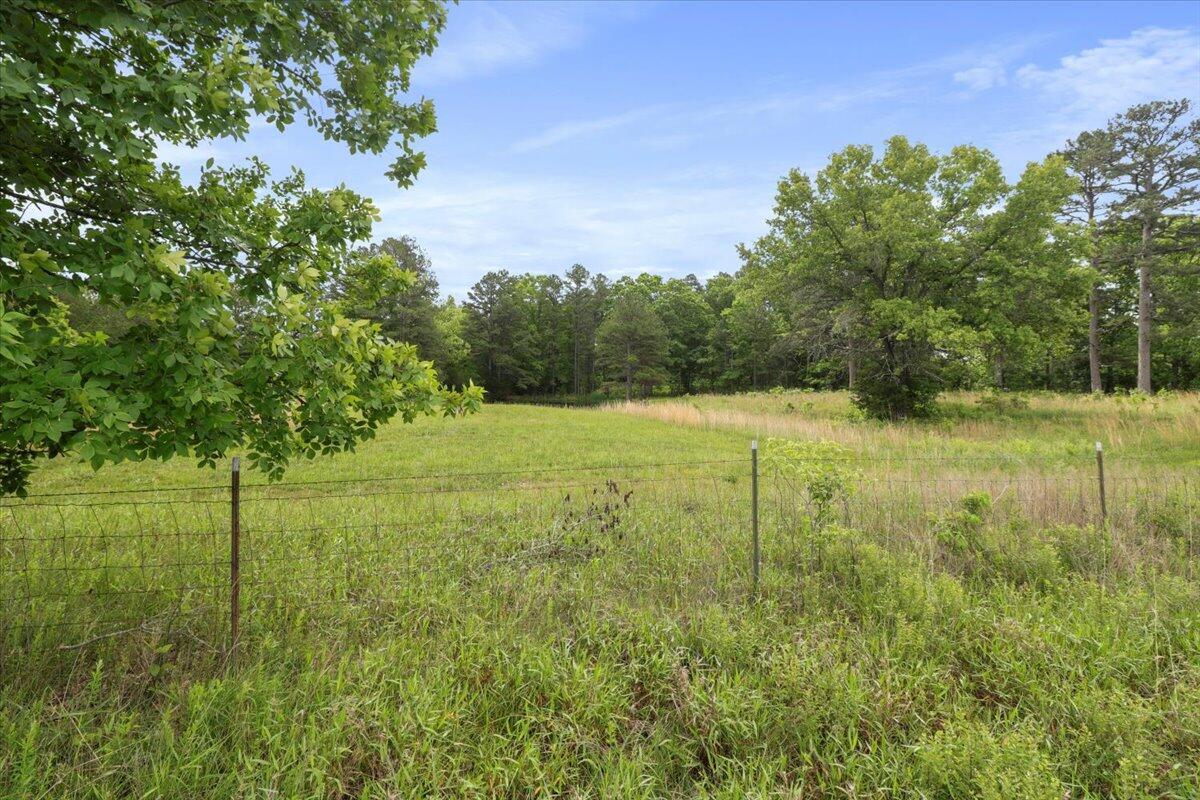 Photo 38 - Land for sale – 7064  County Road 14-223   Ava, MO