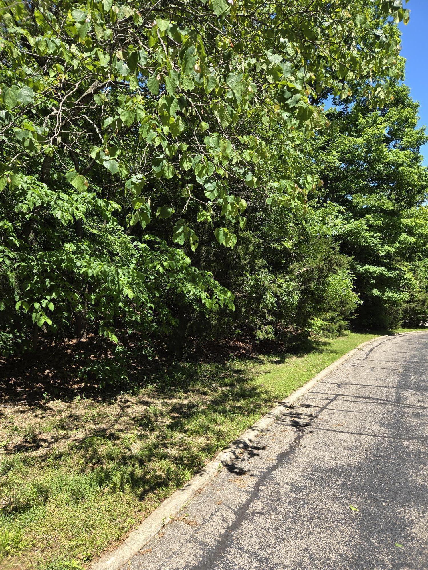 Photo 3 - Land for sale – 120  Silver Oak Way  Branson West, MO