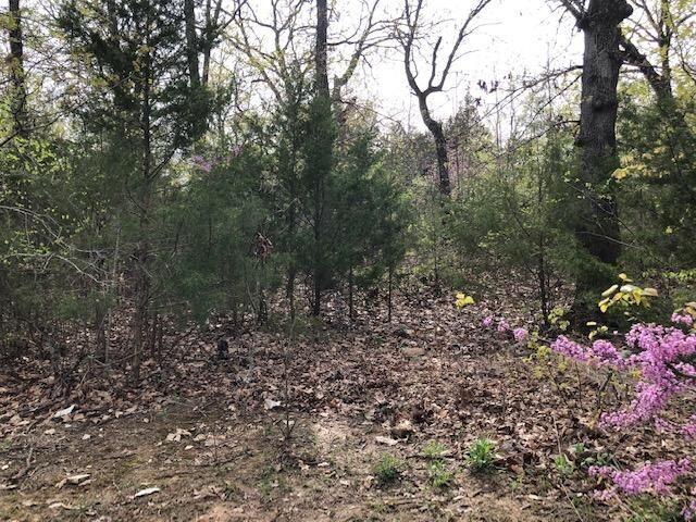 Photo 4 - Land for sale – 120  Silver Oak Way  Branson West, MO