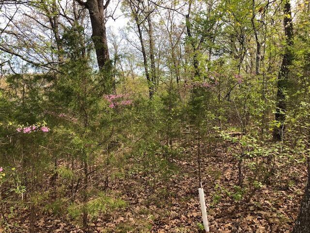 Photo 6 - Land for sale – 120  Silver Oak Way  Branson West, MO