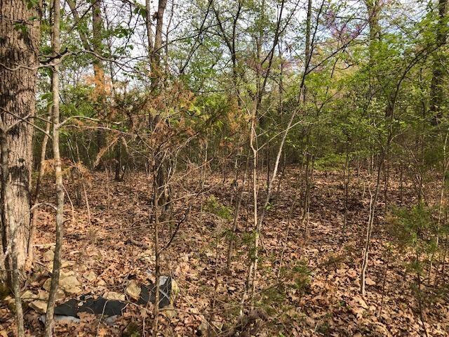 Photo 9 - Land for sale – 120  Silver Oak Way  Branson West, MO